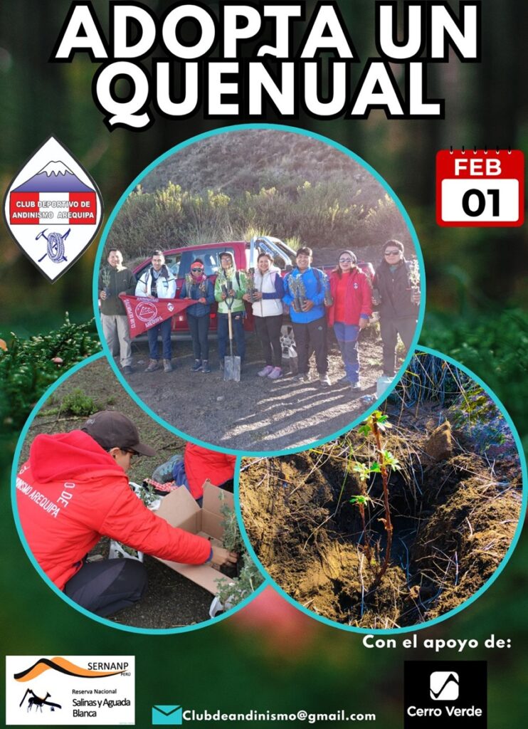 plantacion de queñuales club de andinismo de arequipa